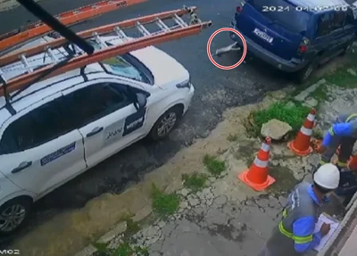 Câmera flagrou o momento em que o gato foi arremessado pelo terceirizado da Equatorial Piauí