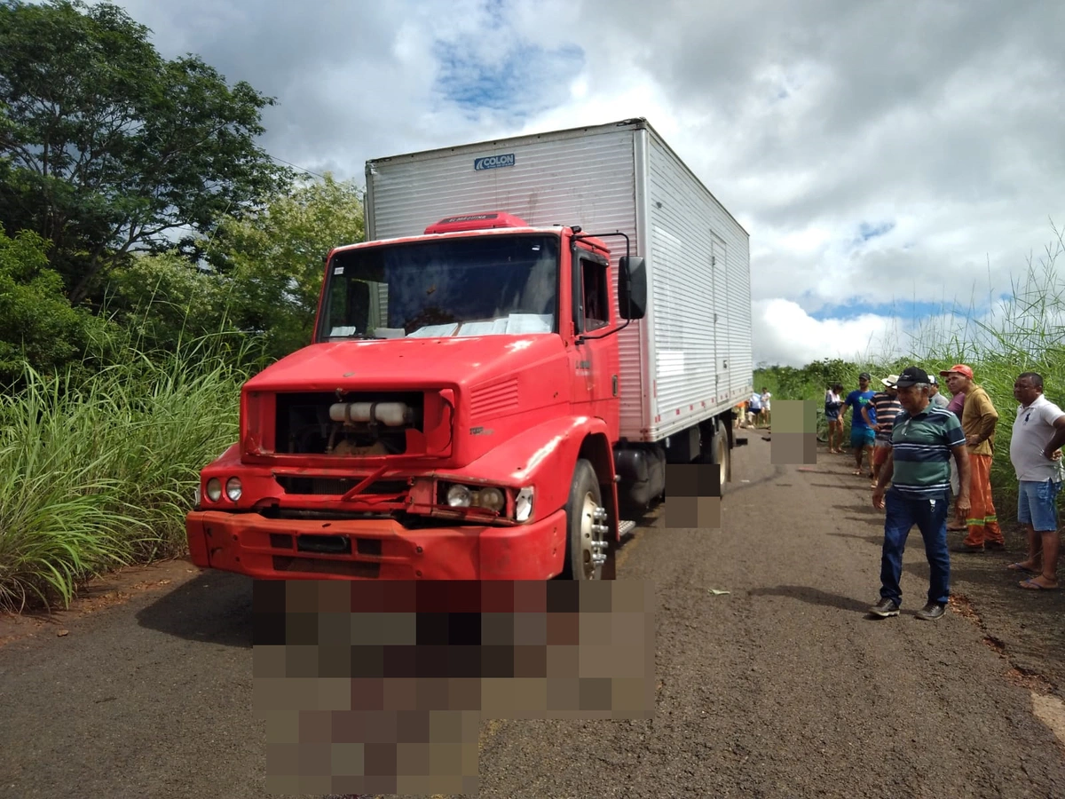 Caminhão atropelou 15 cabeças de gado na PI 120 em Novo Oriente do Piauí