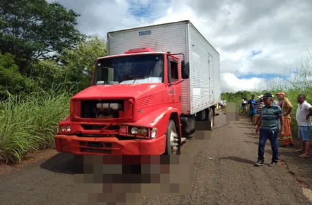 Caminhão atropelou 15 cabeças de gado na PI 120 em Novo Oriente do Piauí