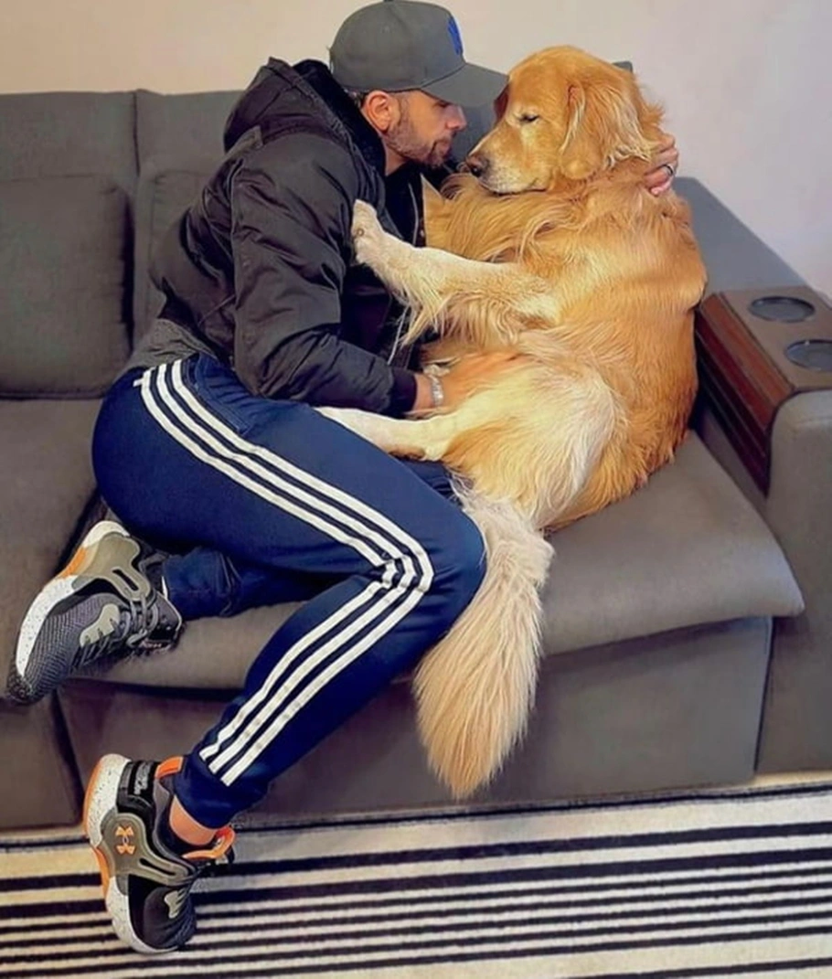 Cão Joca com seu tutor