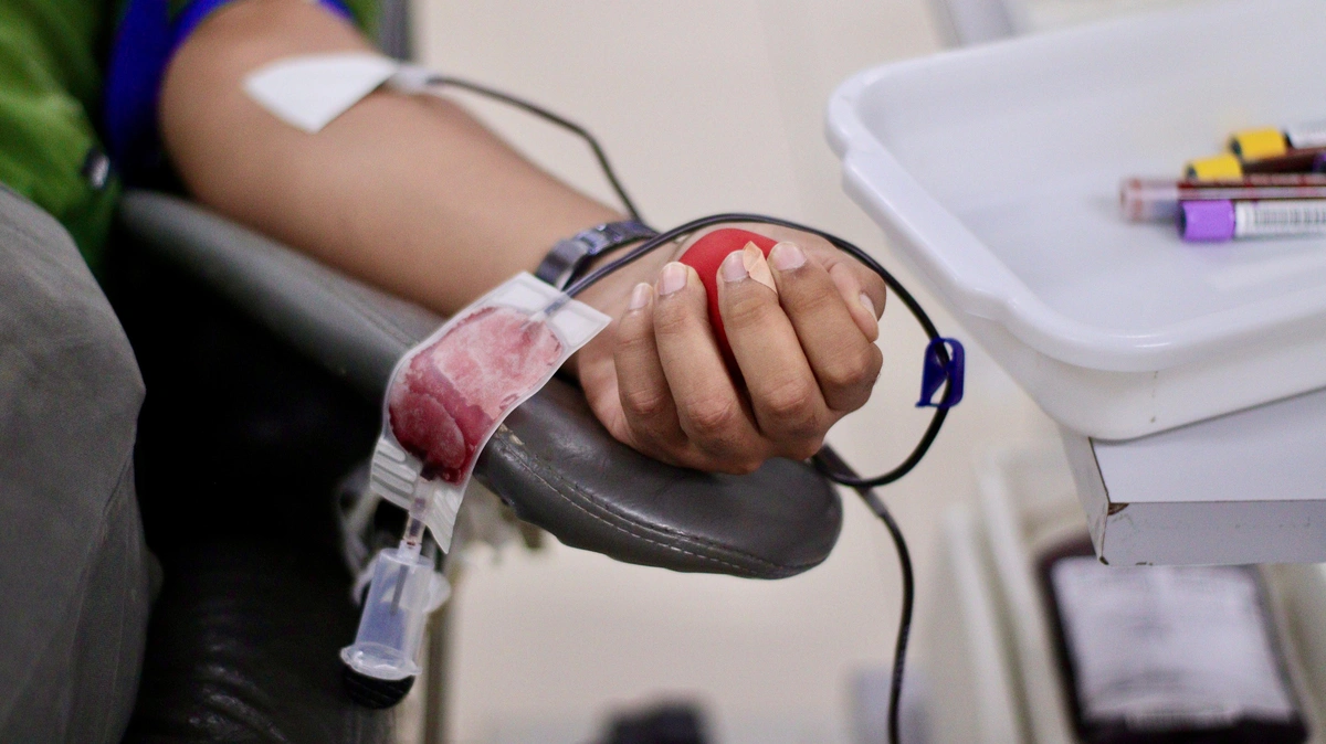 Doação de sangue no HEMOPI