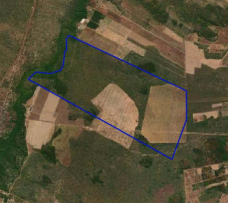 Fazenda da Golden Agro vai a leilão por R$ 6,6 milhões no Piauí