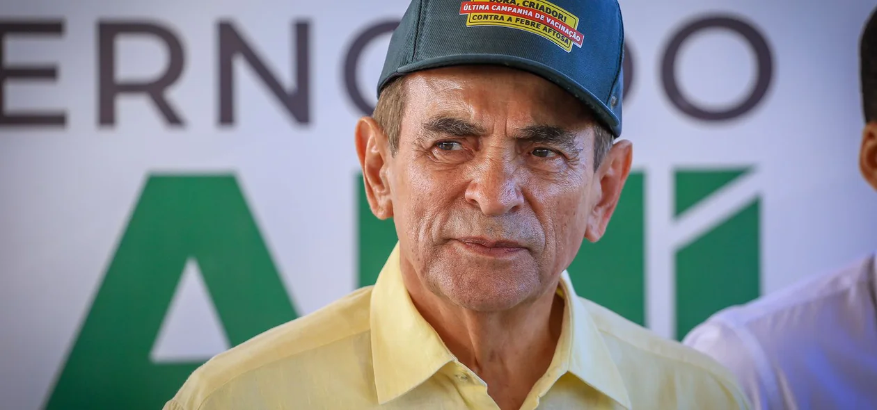 Marcelo Castro, Senador