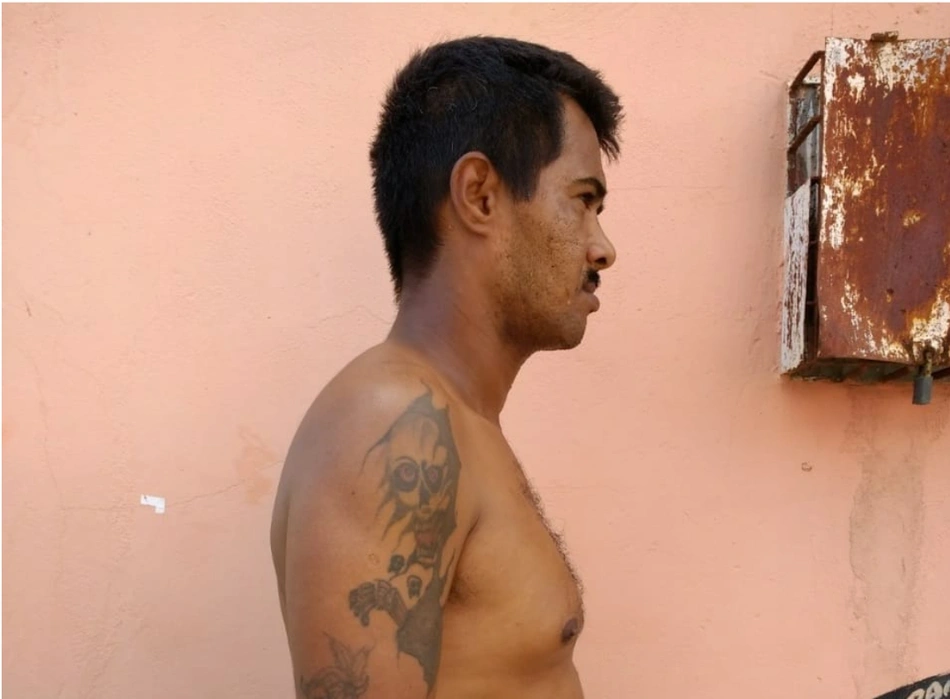 Martins Pereira Ribeiro