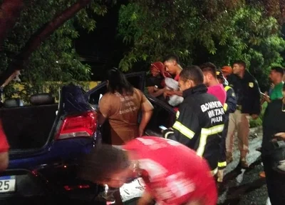 Motorista colidiu com árvore na BR-316