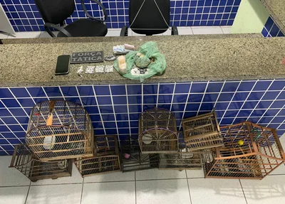 Polícia Militar apreendeu drogas e animais silvestres em Parnaíba