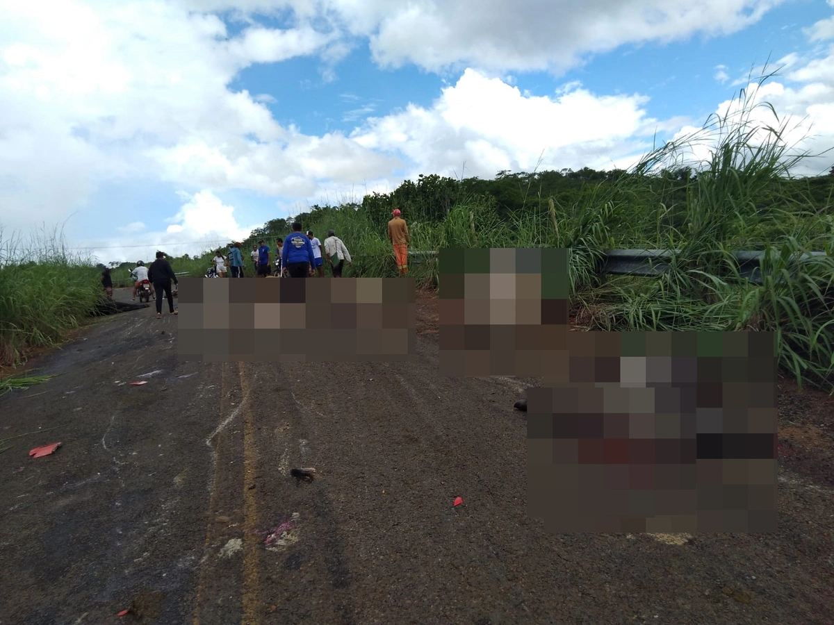 Rastro de animais mortos pela PI 120 em Novo Oriente do Piauí