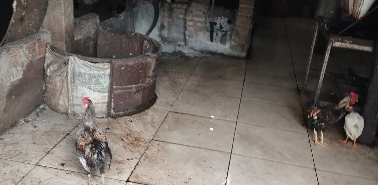 Abatedouro clandestino em Barras