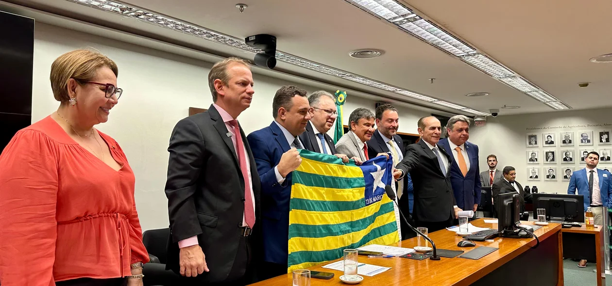Bancada Federal do Piauí