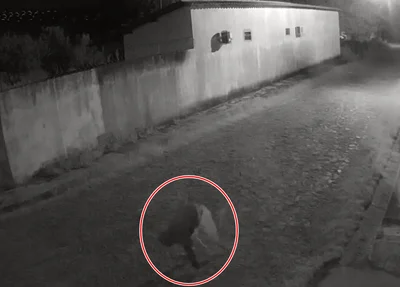 Câmera flagrou fuga do suspeito após reação da vítima em Batalha