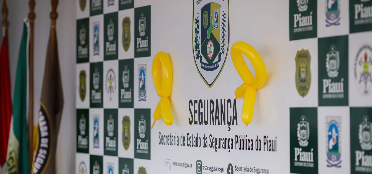 Campanha Maio Amarelo da SSP-PI