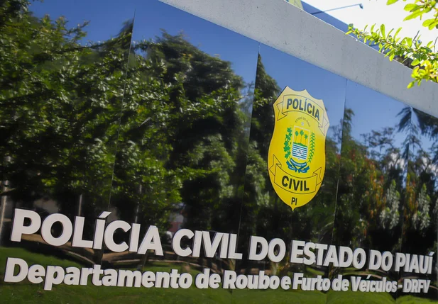 Departamento de Roubo e Furto de Veículos