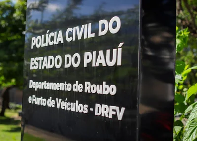 Departamento de Roubo e Furto de Veículos