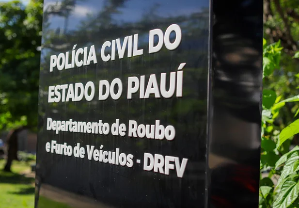 Departamento de Roubo e Furto de Veículos