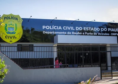 Departamento de Roubo e Furto de Veículos