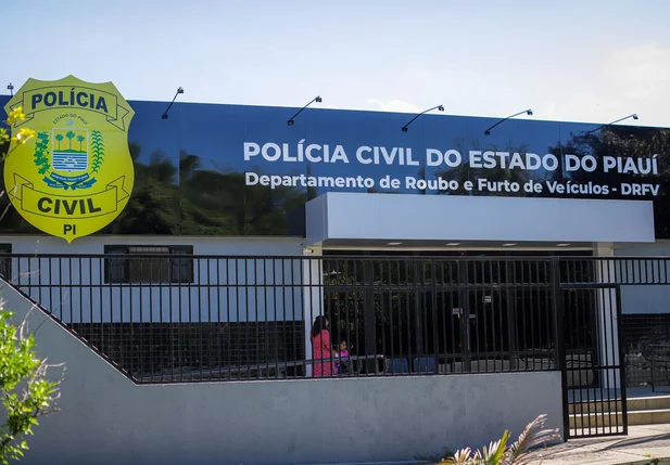 Departamento de Roubo e Furto de Veículos
