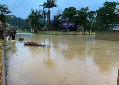 Enchentes deixam centenas de pessoas desabrigadas em Santa Catarina