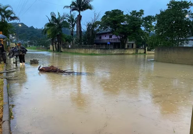 Enchentes deixam centenas de pessoas desabrigadas em Santa Catarina