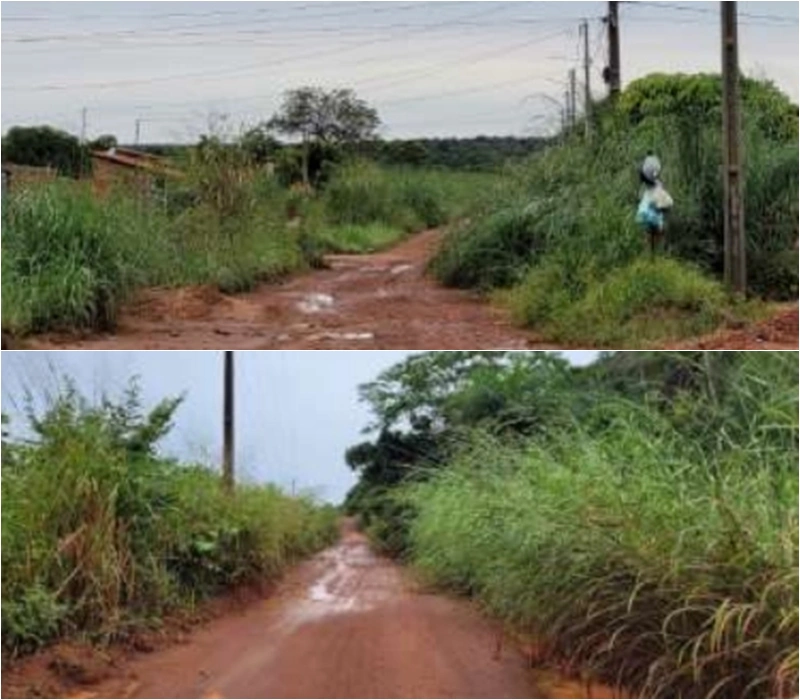 Fotos das estradas