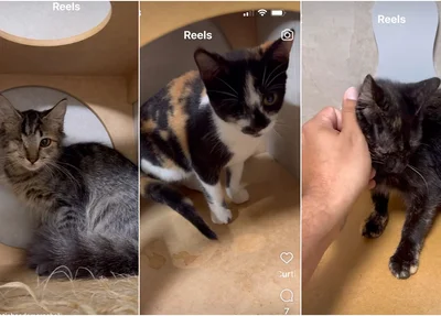 Hera, Madeleine e Jade