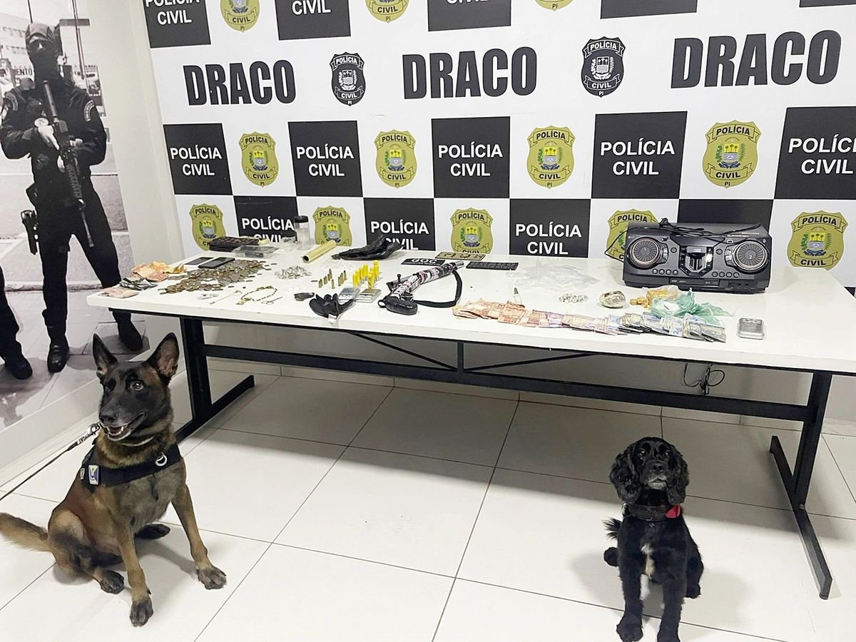 Material apreendido na Operação Draco 115