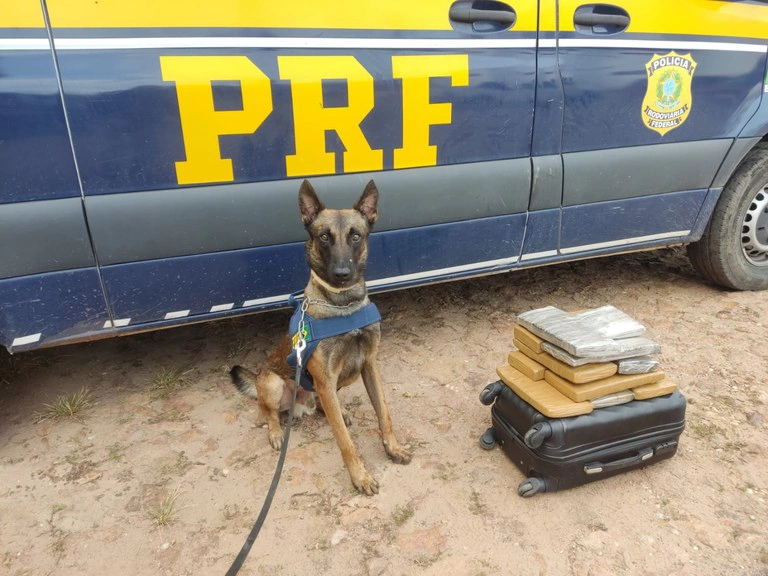 Mulher é presa com 11 kg de maconha dentro de ônibus em Timon