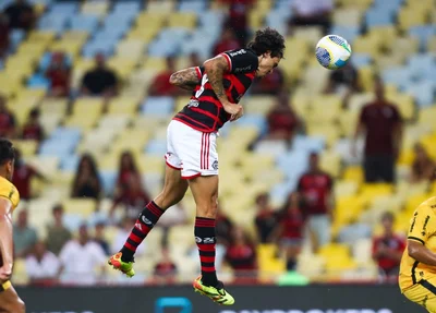 Pedro marcou de cabeça o gol do Flamengo