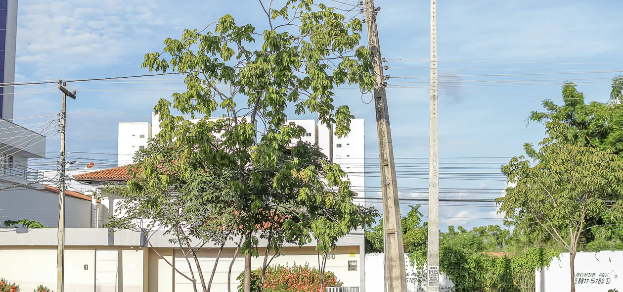 Poste fica localizado na Zequinha Freire