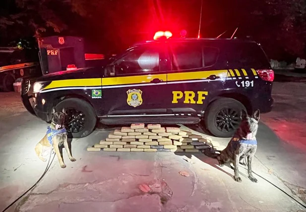 PRF no Piauí prende homem com 53kg da supermaconha em Timon