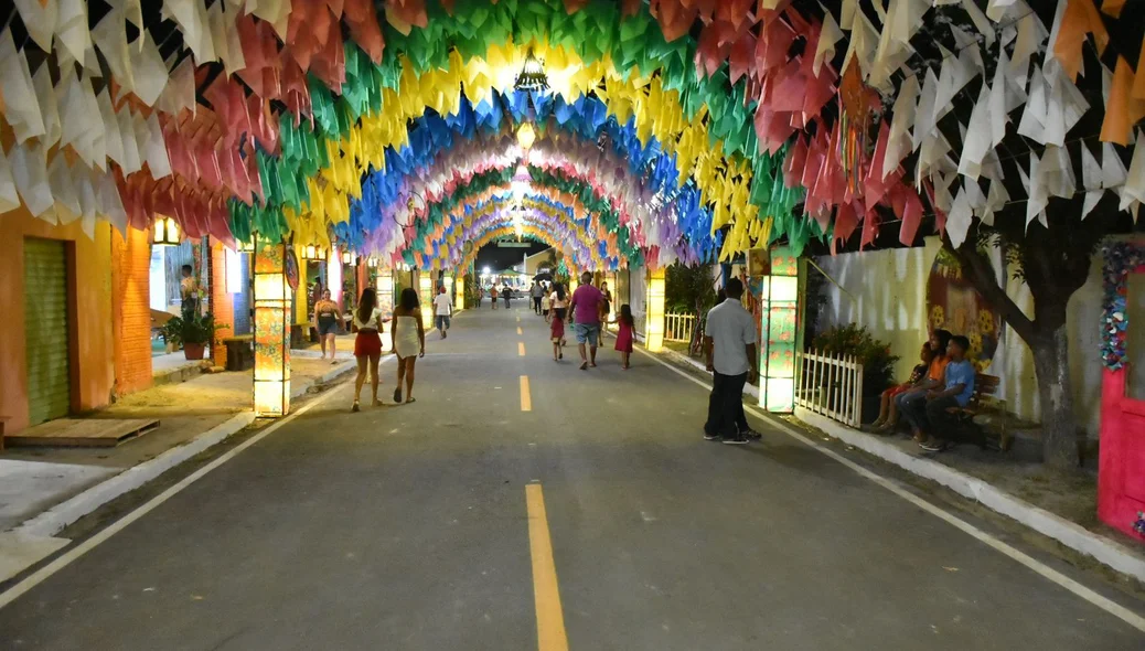 19º Festival Cultural dos Cocais de São João do Arriaial