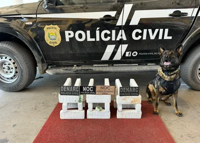 Apreensão se deu com apoio de cão farejador
