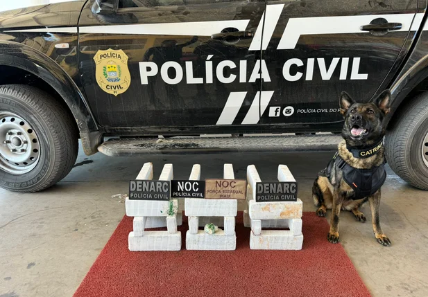 Apreensão se deu com apoio de cão farejador