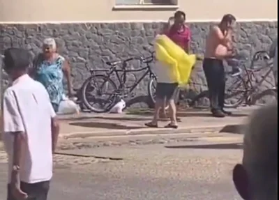 Ataque de abelhas em Parnaíba