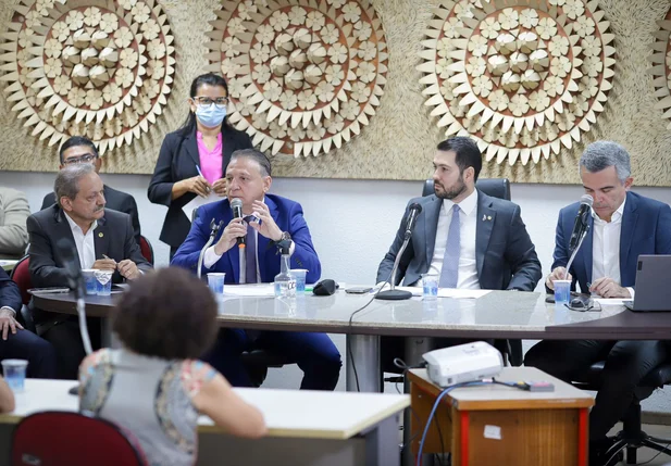 Audiência pública na Alepi para tratar da Lei de Diretrizes Orçamentárias 2025