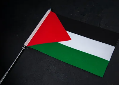 Bandeira da Palestina