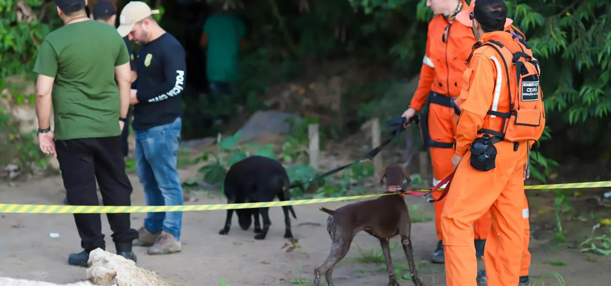 Cachorros dos Bombeiros do Ceará auxiliaram nas buscas