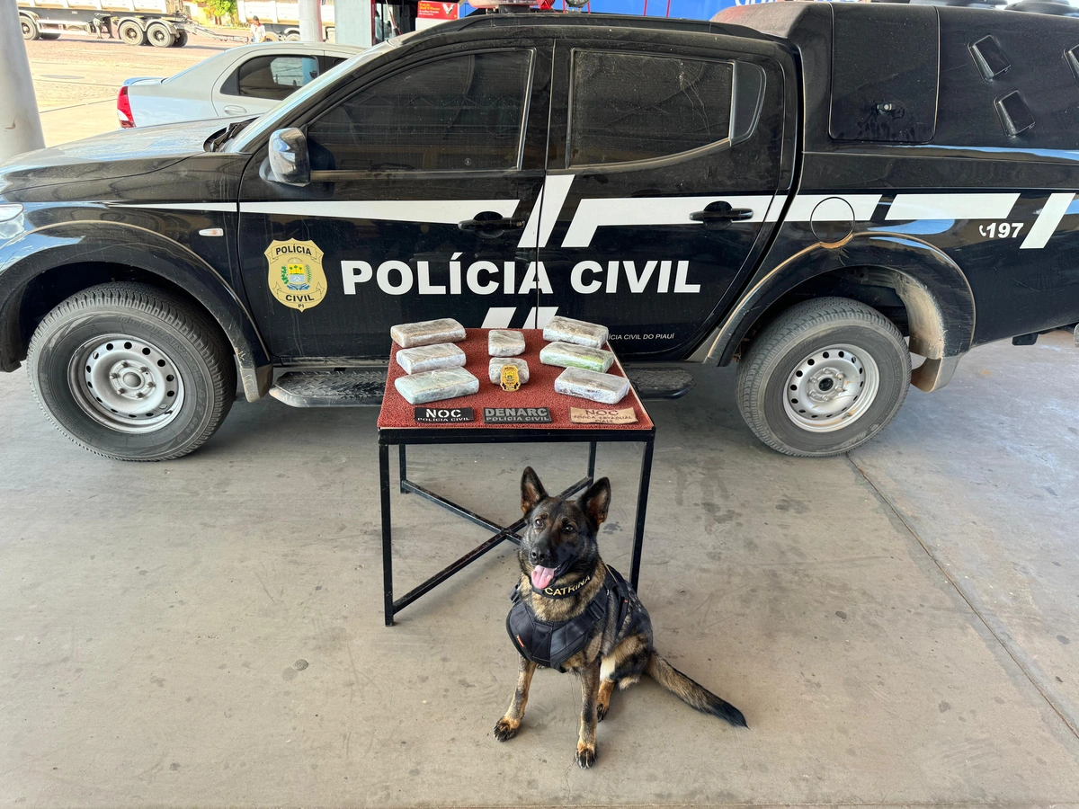 Cadela Catrina ajudou nas buscas da droga