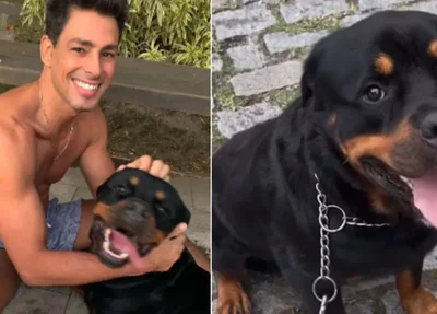 Cauã Reymond se despede de Romeu nas redes sociais