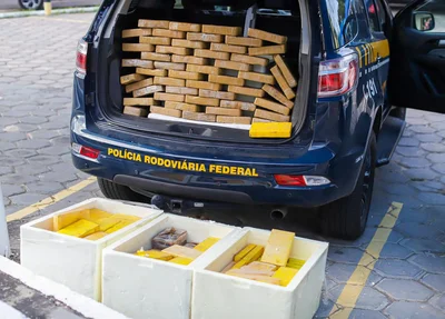 Cocaína apreendida pela PRF em caminhão frigorífico na BR 343