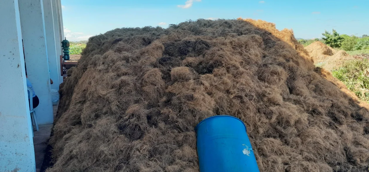 composto orgânico