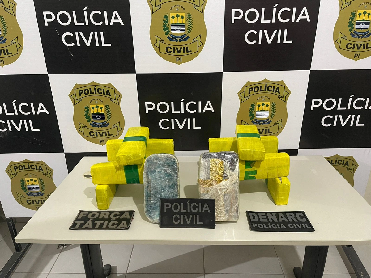 Droga apreendida pelo Denarc