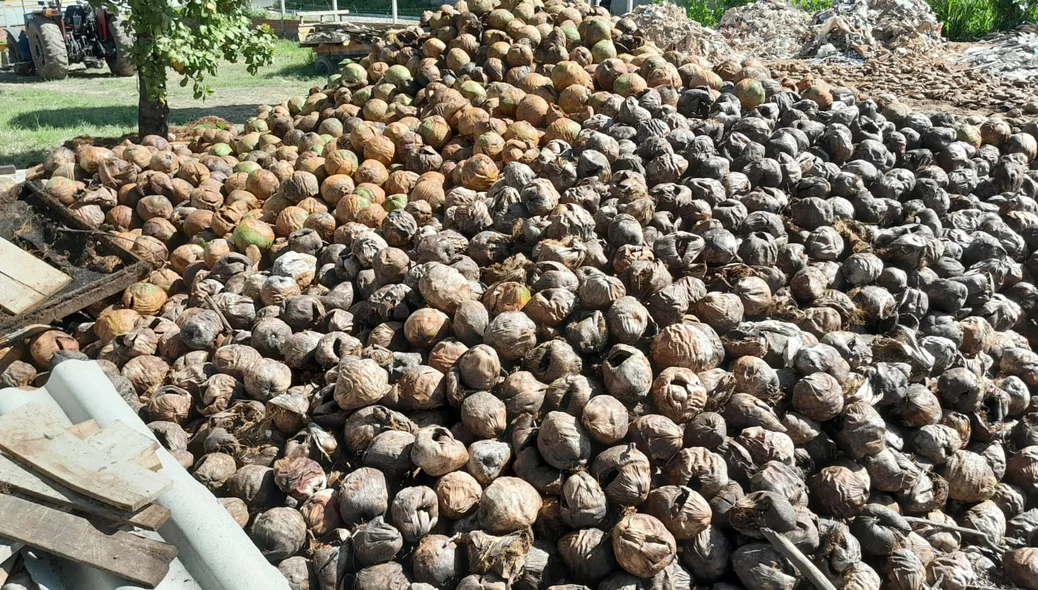 Material usado para composto orgânico