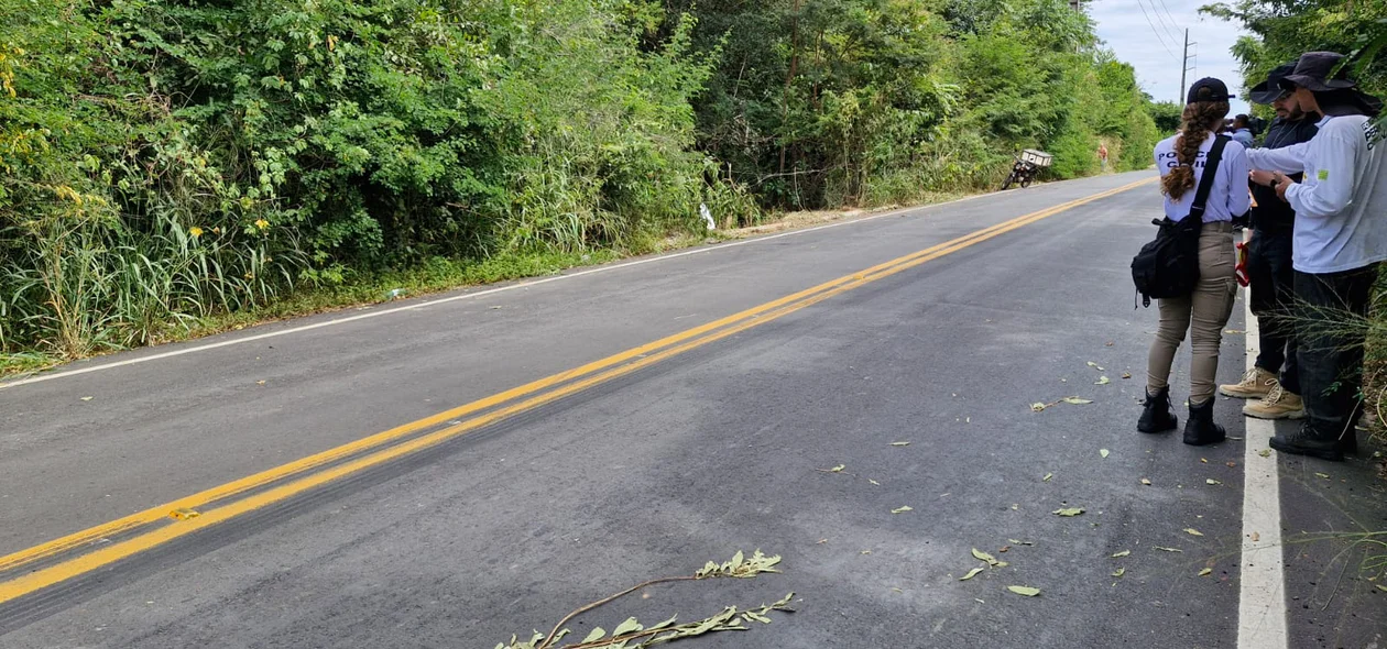 Motorista perdeu o controle em uma curva