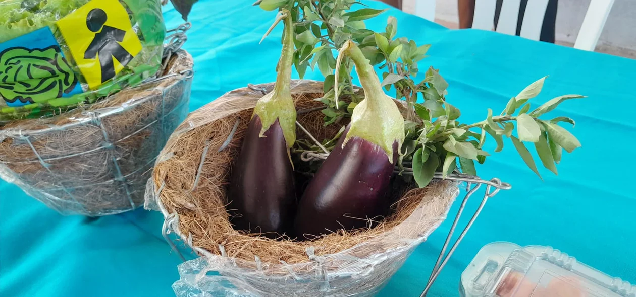 Produção local