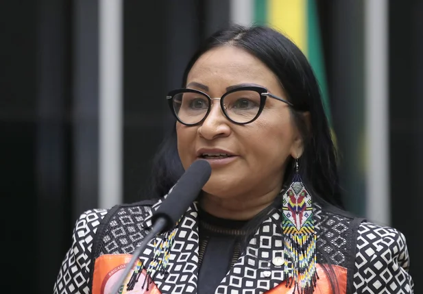 Silvia Waiãpi (PL-AP)