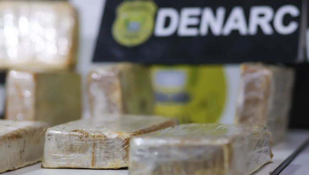 Droga apreendida pelo DENARC
