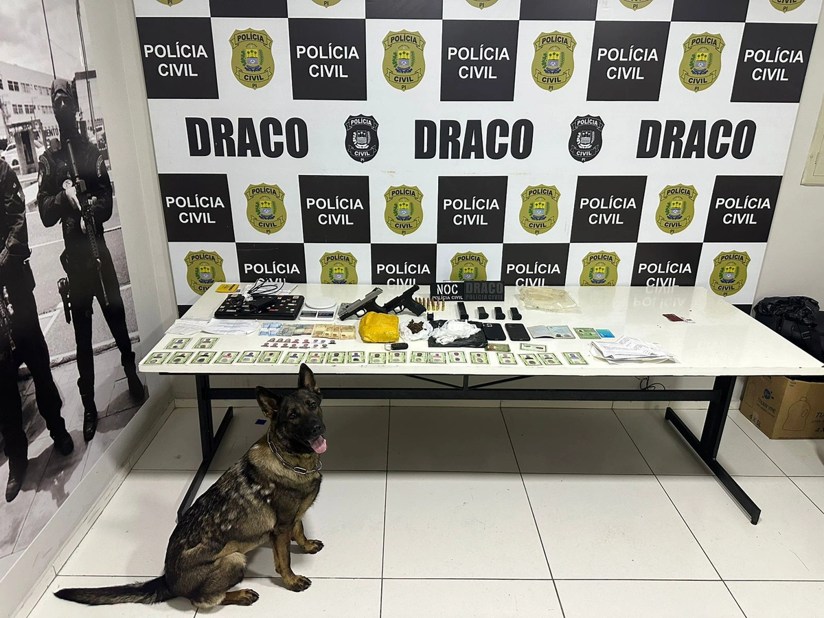 Material apreendido pelo DRACO na Operação 142