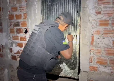 Operação 42 do DENARC
