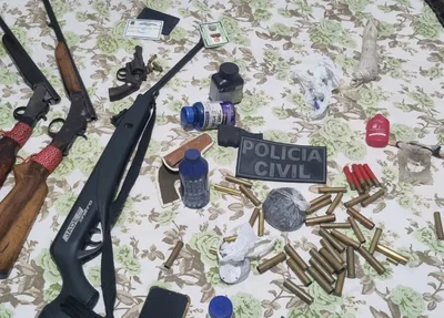 Parte das armas de fogo apreendidas