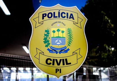 Polícia Civil do Piauí